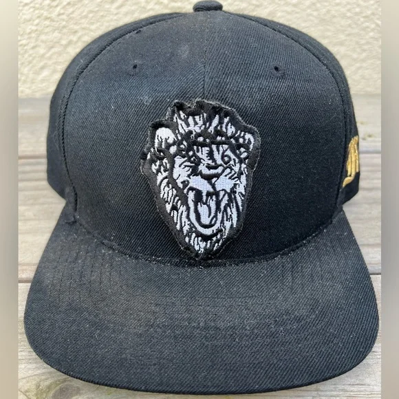 Finally Famous Accessories Big Sean Ff Lions Snapback Hat